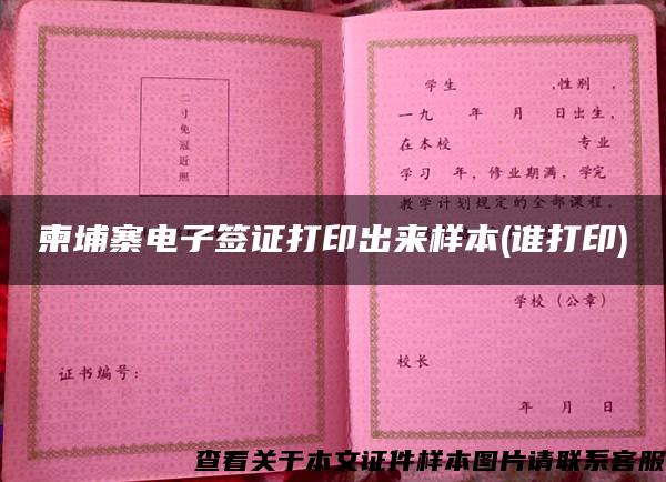 柬埔寨電子簽證打印出來樣本(誰打印)