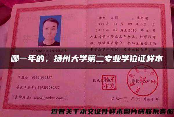 哪一年的，揚州大學第二專業學位證樣本