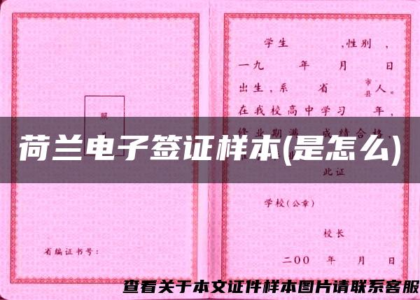荷蘭電子簽證樣本(是怎么)