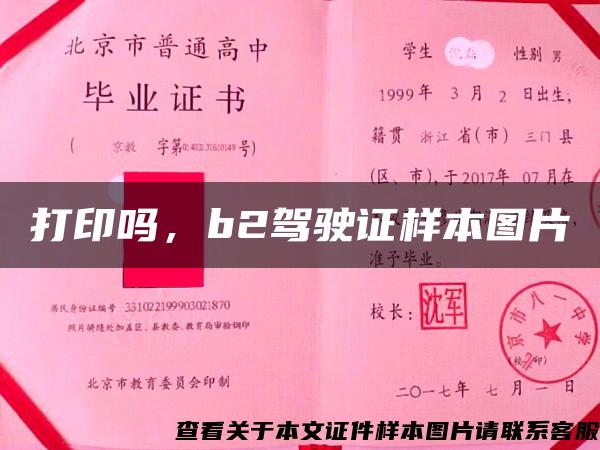 打印嗎，b2駕駛證樣本圖片