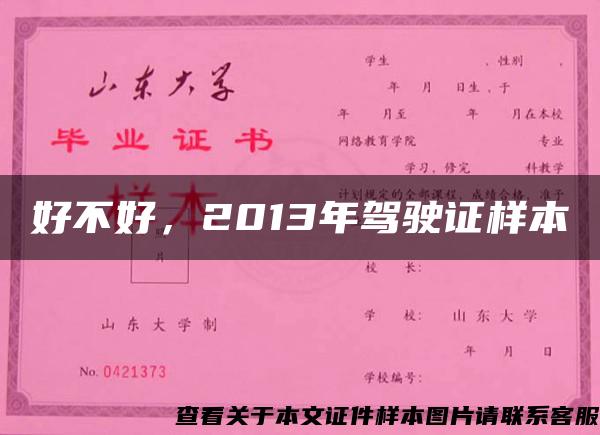 好不好，2013年駕駛證樣本