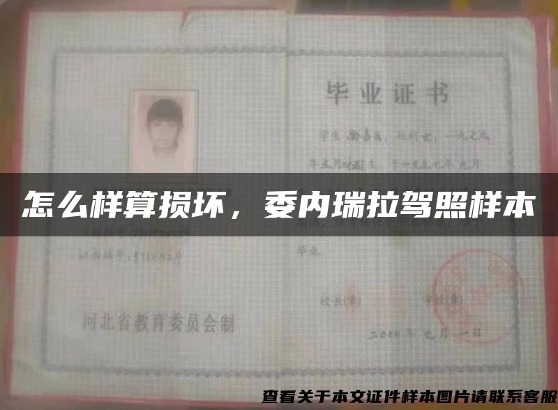 怎么樣算損壞，委內瑞拉駕照樣本