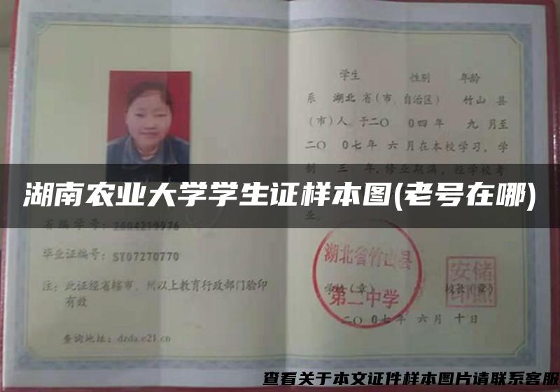 湖南農業大學學生證樣本圖(老號在哪)