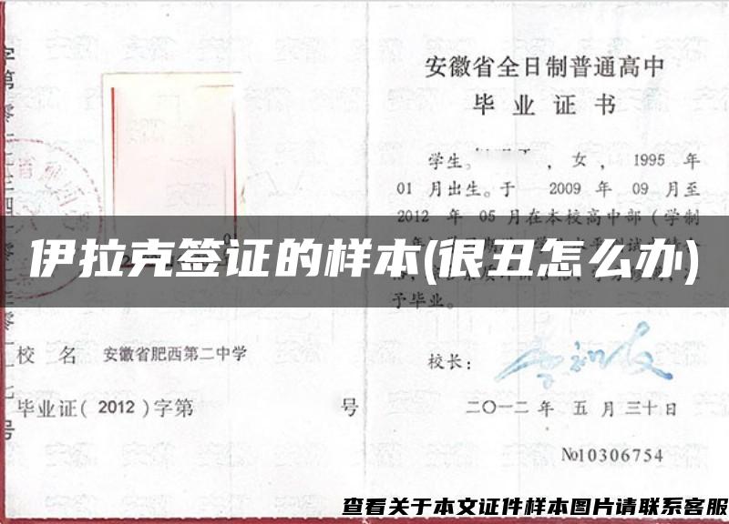 伊拉克簽證的樣本(很丑怎么辦)