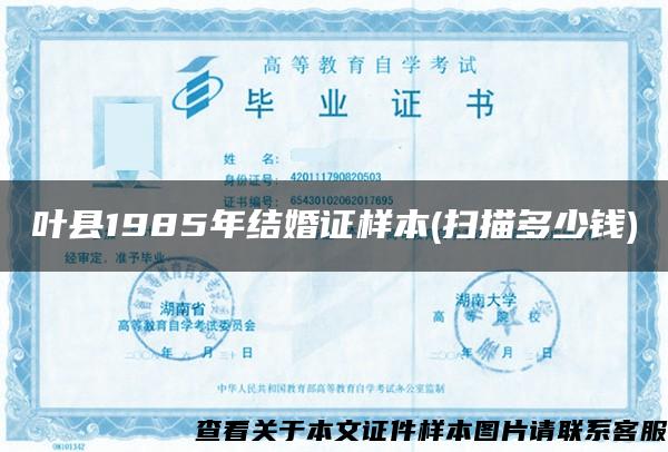 葉縣1985年結婚證樣本(掃描多少錢)