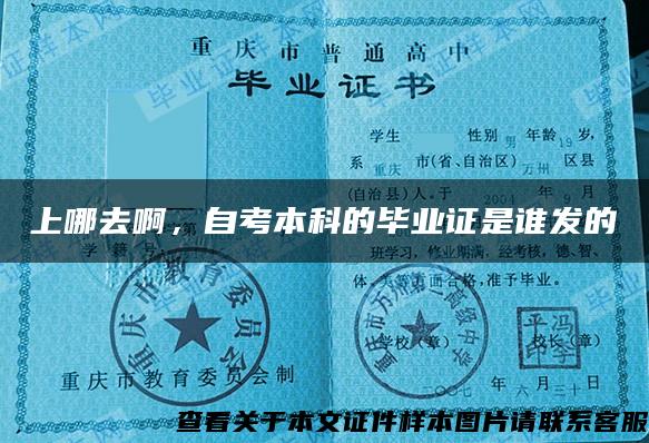 上哪去啊，自考本科的畢業證是誰發的