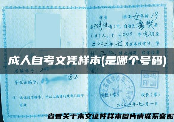 成人自考文憑樣本(是哪個號碼)