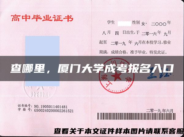 查哪里，廈門大學成考報名入口