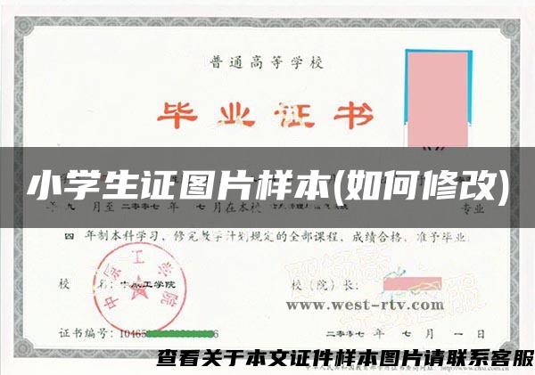 小學生證圖片樣本(如何修改)