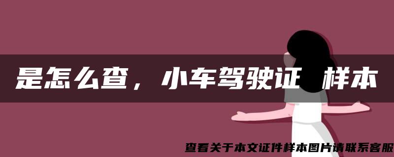 是怎么查，小車駕駛證 樣本