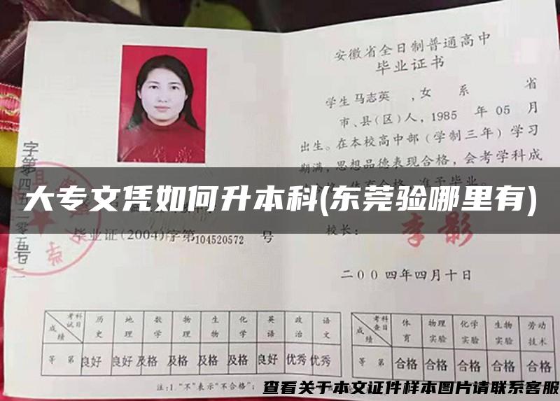 大專文憑如何升本科(東莞驗哪里有)