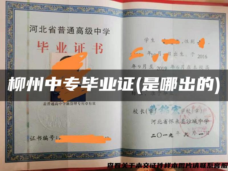 柳州中專畢業證(是哪出的)
