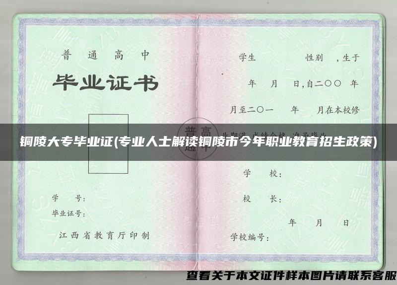 銅陵大專畢業證(專業人士解讀銅陵市今年職業教育招生政策)