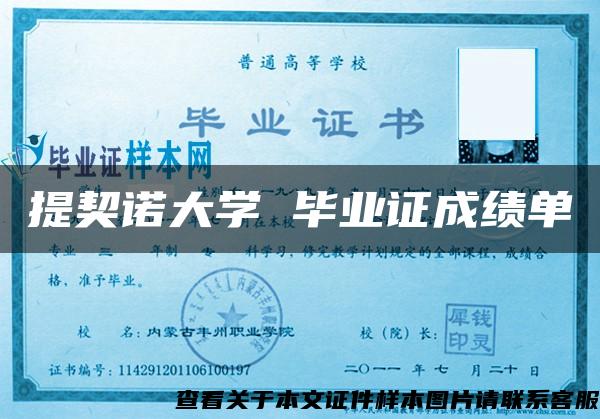 提契諾大學 畢業證成績單