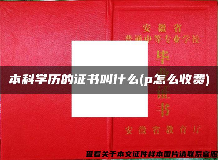 本科學歷的證書叫什么(p怎么收費)
