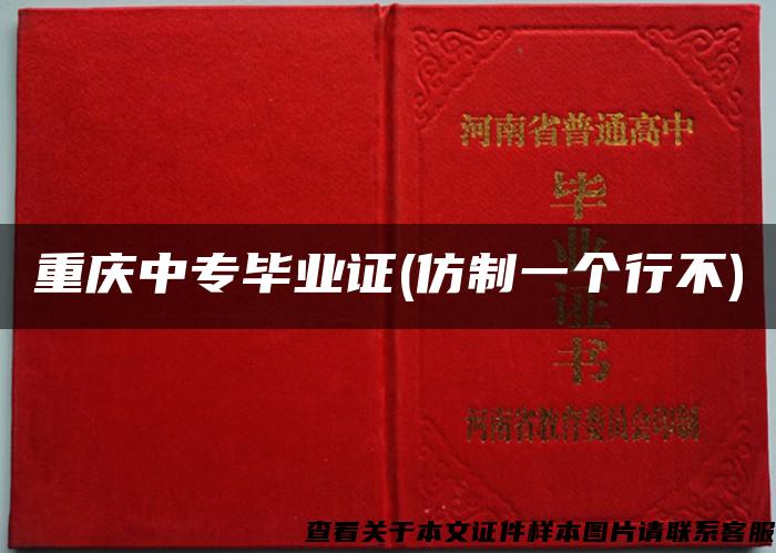 重慶中專畢業證(仿制一個行不)
