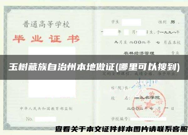 玉樹藏族自治州本地做證(哪里可以搜到)