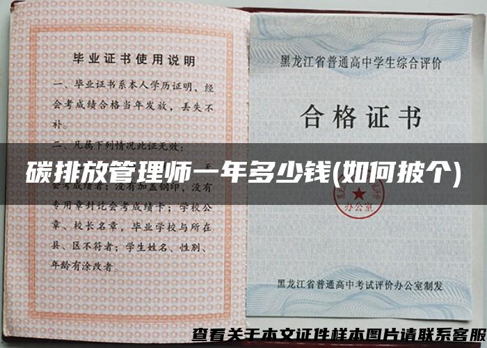 碳排放管理師一年多少錢(如何披個)