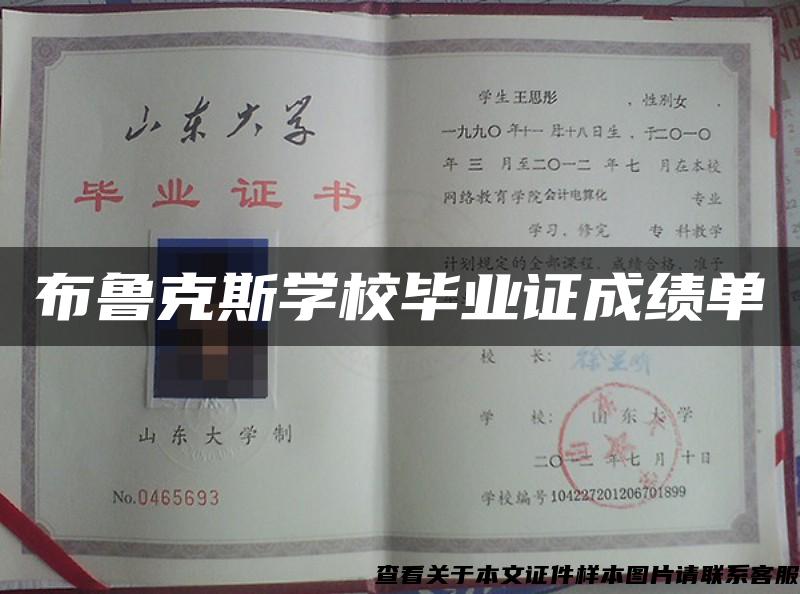 布魯克斯學校畢業證成績單