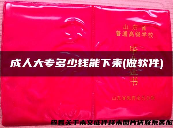 成人大專多少錢能下來(做軟件)