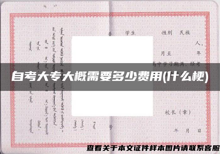 自考大專大概需要多少費用(什么梗)