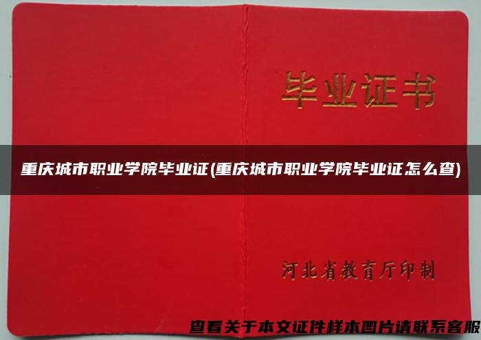 重慶城市職業學院畢業證(重慶城市職業學院畢業證怎么查)