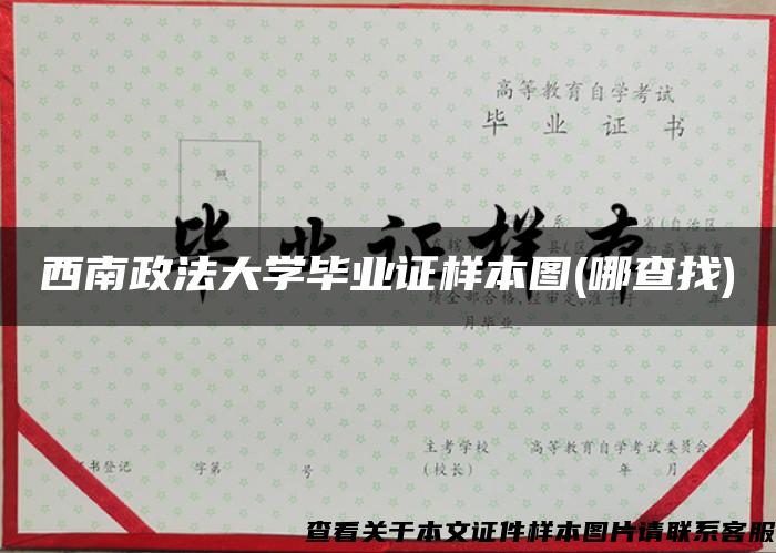 西南政法大學畢業證樣本圖(哪查找)