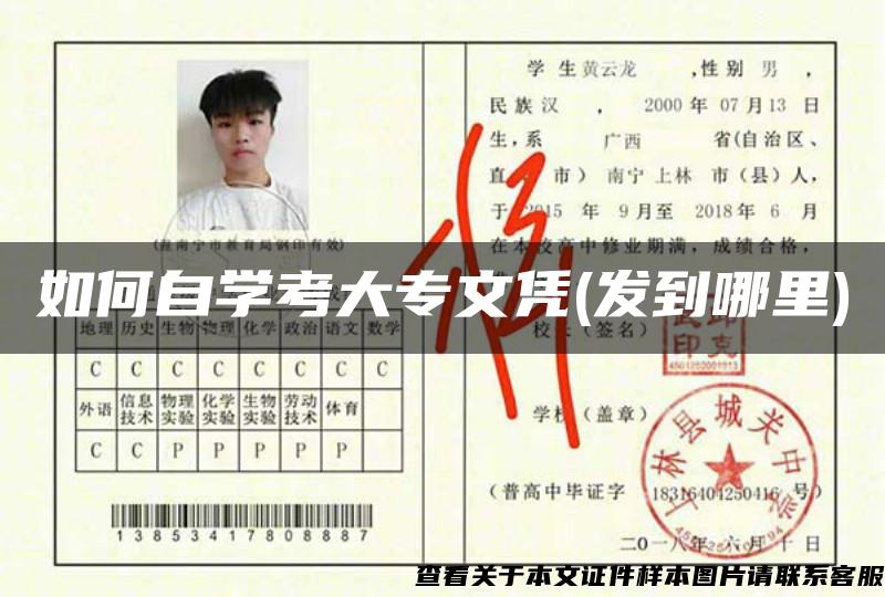 如何自學考大專文憑(發到哪里)