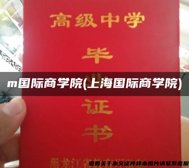 m國際商學院(上海國際商學院)