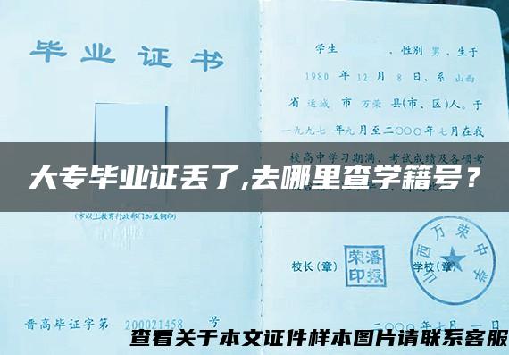 大專畢業證丟了,去哪里查學籍號？