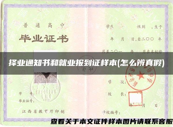 擇業通知書和就業報到證樣本(怎么辨真假)