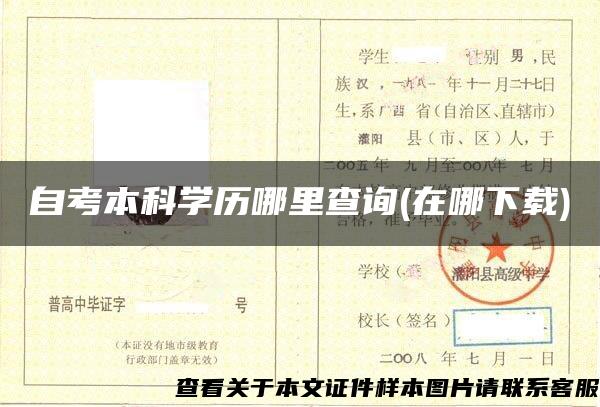 自考本科學歷哪里查詢(在哪下載)