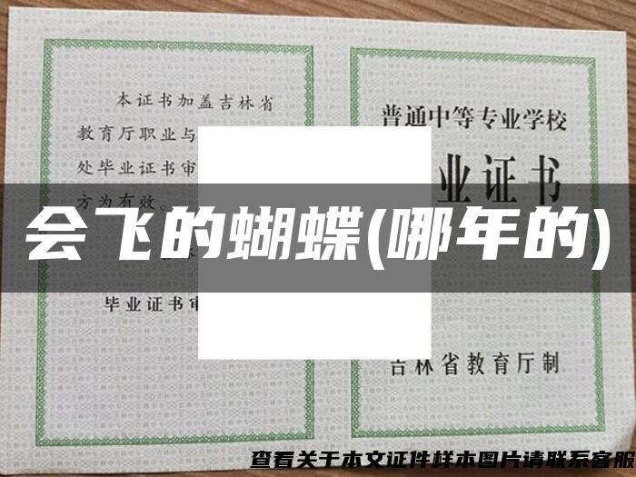 會飛的蝴蝶(哪年的)