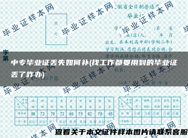 中專畢業證丟失如何補(找工作都要用到的畢業證丟了咋辦)