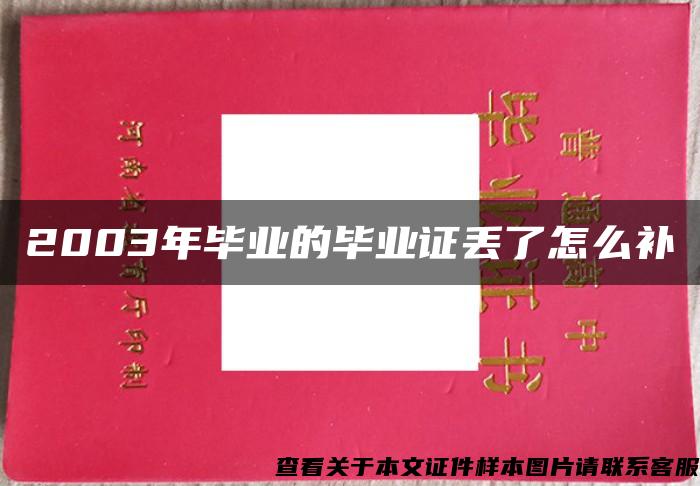 2003年畢業的畢業證丟了怎么補