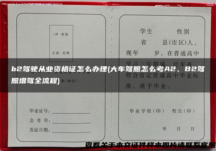 b2駕駛從業資格證怎么辦理(大車駕照怎么考A2、B2駕照增駕全流程)