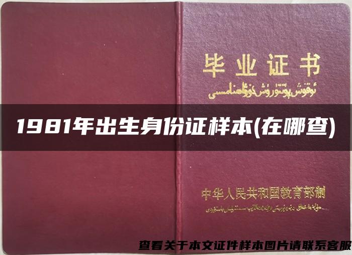 1981年出生身份證樣本(在哪查)