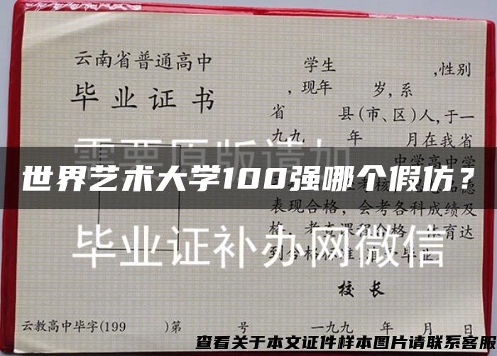 世界藝術大學100強哪個假仿？