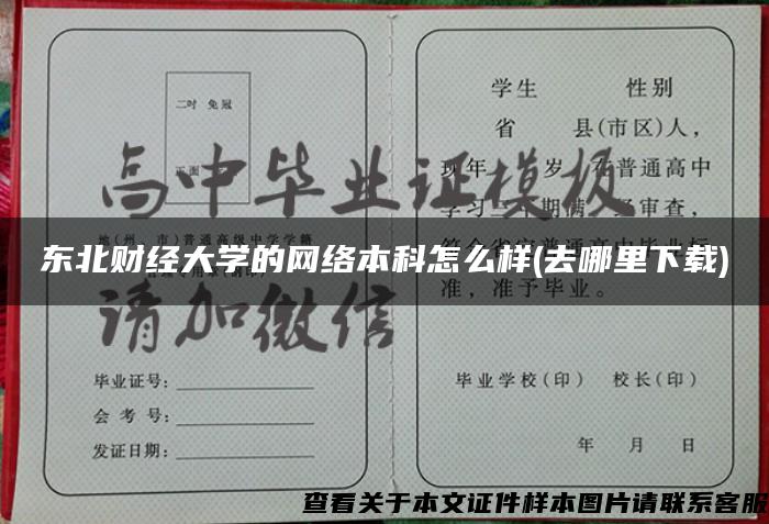 東北財經大學的網絡本科怎么樣(去哪里下載)