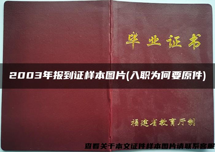 2003年報到證樣本圖片(入職為何要原件)