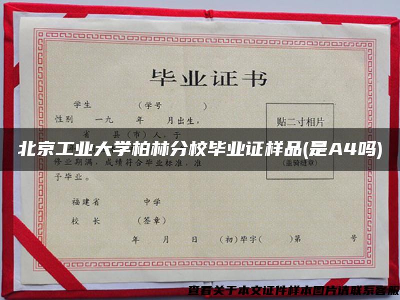 北京工業大學柏林分校畢業證樣品(是A4嗎)