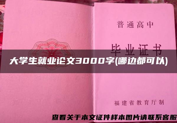 大學生就業論文3000字(哪邊都可以)