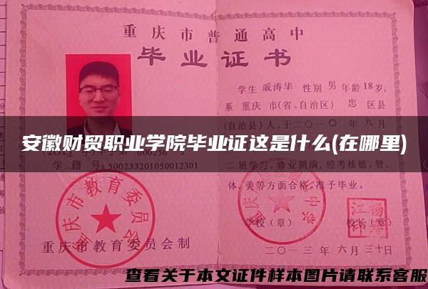 安徽財貿職業學院畢業證這是什么(在哪里)