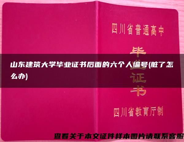 山東建筑大學畢業證書后面的六個人編號(臟了怎么辦)