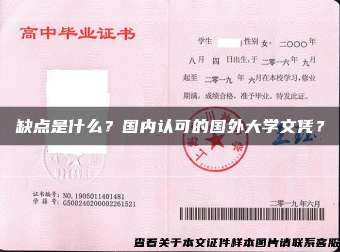 缺點是什么？國內認可的國外大學文憑？
