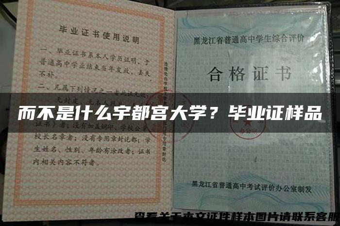 而不是什么宇都宮大學？畢業證樣品