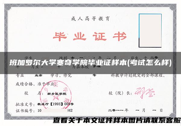 班加羅爾大學塞奇學院畢業證樣本(考試怎么樣)