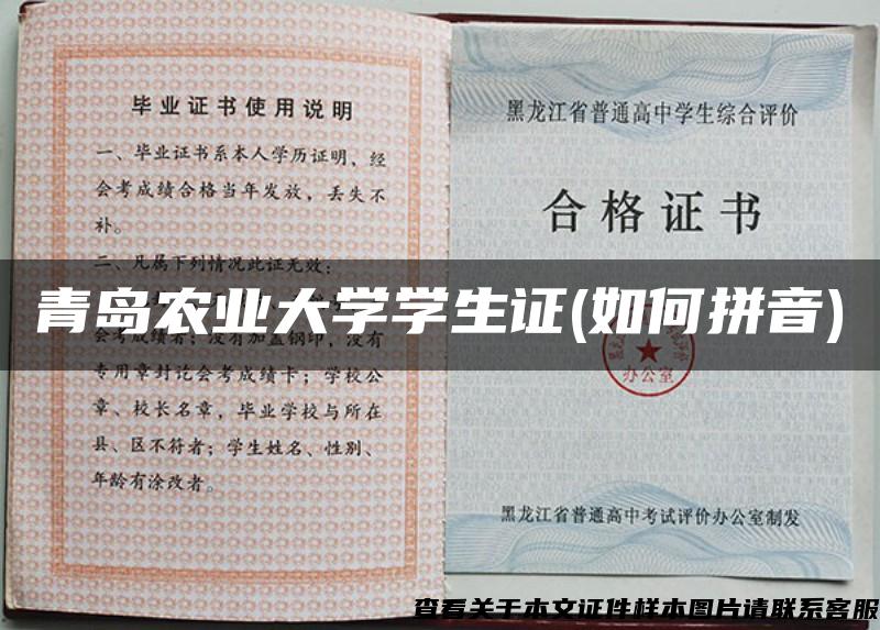 青島農業大學學生證(如何拼音)