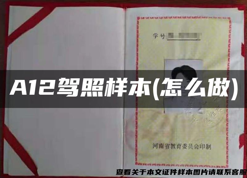A12駕照樣本(怎么做)
