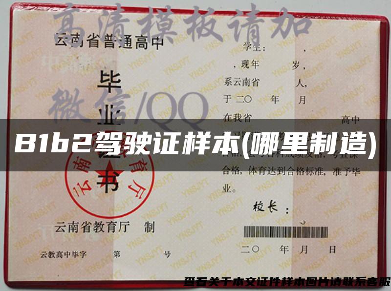 B1b2駕駛證樣本(哪里制造)